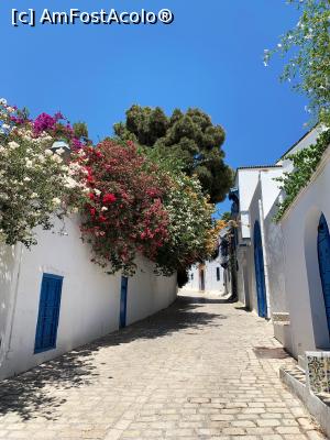[P10] Peisaj tipic în Sidi Bou Said » foto by AZE
 - 
<span class="allrVoted glyphicon glyphicon-heart hidden" id="av1322867"></span>
<a class="m-l-10 hidden" id="sv1322867" onclick="voting_Foto_DelVot(,1322867,26417)" role="button">șterge vot <span class="glyphicon glyphicon-remove"></span></a>
<a id="v91322867" class=" c-red"  onclick="voting_Foto_SetVot(1322867)" role="button"><span class="glyphicon glyphicon-heart-empty"></span> <b>LIKE</b> = Votează poza</a> <img class="hidden"  id="f1322867W9" src="/imagini/loader.gif" border="0" /><span class="AjErrMes hidden" id="e1322867ErM"></span>