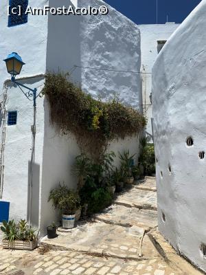 [P22] Sidi Bou Said » foto by AZE
 - 
<span class="allrVoted glyphicon glyphicon-heart hidden" id="av1322879"></span>
<a class="m-l-10 hidden" id="sv1322879" onclick="voting_Foto_DelVot(,1322879,26417)" role="button">șterge vot <span class="glyphicon glyphicon-remove"></span></a>
<a id="v91322879" class=" c-red"  onclick="voting_Foto_SetVot(1322879)" role="button"><span class="glyphicon glyphicon-heart-empty"></span> <b>LIKE</b> = Votează poza</a> <img class="hidden"  id="f1322879W9" src="/imagini/loader.gif" border="0" /><span class="AjErrMes hidden" id="e1322879ErM"></span>