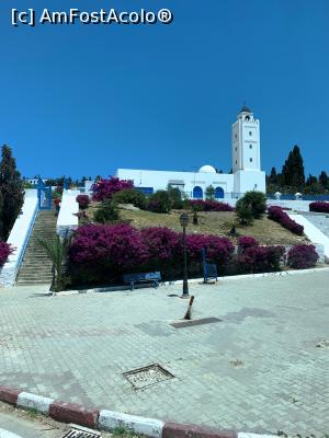 [P36] Moscheea Sidi Bou Said-ceva mai departe de centru » foto by AZE
 - 
<span class="allrVoted glyphicon glyphicon-heart hidden" id="av1322893"></span>
<a class="m-l-10 hidden" id="sv1322893" onclick="voting_Foto_DelVot(,1322893,26417)" role="button">șterge vot <span class="glyphicon glyphicon-remove"></span></a>
<a id="v91322893" class=" c-red"  onclick="voting_Foto_SetVot(1322893)" role="button"><span class="glyphicon glyphicon-heart-empty"></span> <b>LIKE</b> = Votează poza</a> <img class="hidden"  id="f1322893W9" src="/imagini/loader.gif" border="0" /><span class="AjErrMes hidden" id="e1322893ErM"></span>