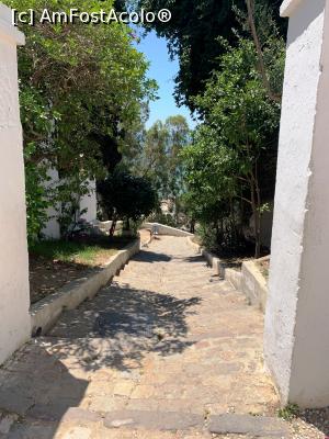 [P06] Străduță în Sidi Bou Said » foto by AZE
 - 
<span class="allrVoted glyphicon glyphicon-heart hidden" id="av1322863"></span>
<a class="m-l-10 hidden" id="sv1322863" onclick="voting_Foto_DelVot(,1322863,26417)" role="button">șterge vot <span class="glyphicon glyphicon-remove"></span></a>
<a id="v91322863" class=" c-red"  onclick="voting_Foto_SetVot(1322863)" role="button"><span class="glyphicon glyphicon-heart-empty"></span> <b>LIKE</b> = Votează poza</a> <img class="hidden"  id="f1322863W9" src="/imagini/loader.gif" border="0" /><span class="AjErrMes hidden" id="e1322863ErM"></span>