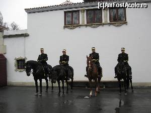[P22] Garda călare » foto by tata123 🔱
 - 
<span class="allrVoted glyphicon glyphicon-heart hidden" id="av578312"></span>
<a class="m-l-10 hidden" id="sv578312" onclick="voting_Foto_DelVot(,578312,26422)" role="button">șterge vot <span class="glyphicon glyphicon-remove"></span></a>
<a id="v9578312" class=" c-red"  onclick="voting_Foto_SetVot(578312)" role="button"><span class="glyphicon glyphicon-heart-empty"></span> <b>LIKE</b> = Votează poza</a> <img class="hidden"  id="f578312W9" src="/imagini/loader.gif" border="0" /><span class="AjErrMes hidden" id="e578312ErM"></span>