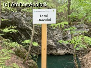 [P02] Lacul Dracului » foto by Mika
 - 
<span class="allrVoted glyphicon glyphicon-heart hidden" id="av1413350"></span>
<a class="m-l-10 hidden" id="sv1413350" onclick="voting_Foto_DelVot(,1413350,26437)" role="button">șterge vot <span class="glyphicon glyphicon-remove"></span></a>
<a id="v91413350" class=" c-red"  onclick="voting_Foto_SetVot(1413350)" role="button"><span class="glyphicon glyphicon-heart-empty"></span> <b>LIKE</b> = Votează poza</a> <img class="hidden"  id="f1413350W9" src="/imagini/loader.gif" border="0" /><span class="AjErrMes hidden" id="e1413350ErM"></span>