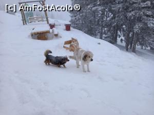 [P06] Apar și ceilalți paznici » foto by Mika
 - 
<span class="allrVoted glyphicon glyphicon-heart hidden" id="av1277879"></span>
<a class="m-l-10 hidden" id="sv1277879" onclick="voting_Foto_DelVot(,1277879,26442)" role="button">șterge vot <span class="glyphicon glyphicon-remove"></span></a>
<a id="v91277879" class=" c-red"  onclick="voting_Foto_SetVot(1277879)" role="button"><span class="glyphicon glyphicon-heart-empty"></span> <b>LIKE</b> = Votează poza</a> <img class="hidden"  id="f1277879W9" src="/imagini/loader.gif" border="0" /><span class="AjErrMes hidden" id="e1277879ErM"></span>