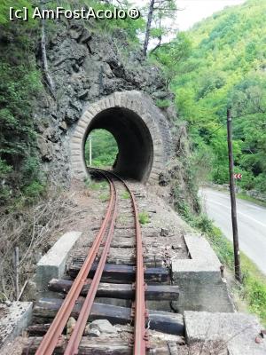 [P06] Singurul tunel prin care trece mocanita » foto by simplegirl
 - 
<span class="allrVoted glyphicon glyphicon-heart hidden" id="av1177344"></span>
<a class="m-l-10 hidden" id="sv1177344" onclick="voting_Foto_DelVot(,1177344,26447)" role="button">șterge vot <span class="glyphicon glyphicon-remove"></span></a>
<a id="v91177344" class=" c-red"  onclick="voting_Foto_SetVot(1177344)" role="button"><span class="glyphicon glyphicon-heart-empty"></span> <b>LIKE</b> = Votează poza</a> <img class="hidden"  id="f1177344W9" src="/imagini/loader.gif" border="0" /><span class="AjErrMes hidden" id="e1177344ErM"></span>