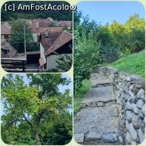 [P06]  -- <small>// FĂRĂ DESCRIERE</small> » foto by fb116078
 - 
<span class="allrVoted glyphicon glyphicon-heart hidden" id="av1177873"></span>
<a class="m-l-10 hidden" id="sv1177873" onclick="voting_Foto_DelVot(,1177873,26454)" role="button">șterge vot <span class="glyphicon glyphicon-remove"></span></a>
<a id="v91177873" class=" c-red"  onclick="voting_Foto_SetVot(1177873)" role="button"><span class="glyphicon glyphicon-heart-empty"></span> <b>LIKE</b> = Votează poza</a> <img class="hidden"  id="f1177873W9" src="/imagini/loader.gif" border="0" /><span class="AjErrMes hidden" id="e1177873ErM"></span>
