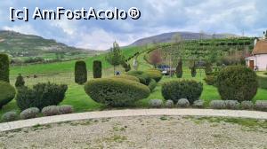 [P2x] Arbusti la intrarea in gradina » foto by Bradany
 - 
<span class="allrVoted glyphicon glyphicon-heart hidden" id="av1360589"></span>
<a class="m-l-10 hidden" id="sv1360589" onclick="voting_Foto_DelVot(,1360589,26461)" role="button">șterge vot <span class="glyphicon glyphicon-remove"></span></a>
<a id="v91360589" class=" c-red"  onclick="voting_Foto_SetVot(1360589)" role="button"><span class="glyphicon glyphicon-heart-empty"></span> <b>LIKE</b> = Votează poza</a> <img class="hidden"  id="f1360589W9" src="/imagini/loader.gif" border="0" /><span class="AjErrMes hidden" id="e1360589ErM"></span>
