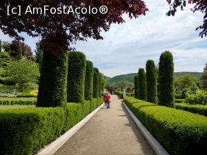 [P02] Aleea principală de la intrare, I Giardini di Zoe. » foto by maryka
 - 
<span class="allrVoted glyphicon glyphicon-heart hidden" id="av1228108"></span>
<a class="m-l-10 hidden" id="sv1228108" onclick="voting_Foto_DelVot(,1228108,26461)" role="button">șterge vot <span class="glyphicon glyphicon-remove"></span></a>
<a id="v91228108" class=" c-red"  onclick="voting_Foto_SetVot(1228108)" role="button"><span class="glyphicon glyphicon-heart-empty"></span> <b>LIKE</b> = Votează poza</a> <img class="hidden"  id="f1228108W9" src="/imagini/loader.gif" border="0" /><span class="AjErrMes hidden" id="e1228108ErM"></span>