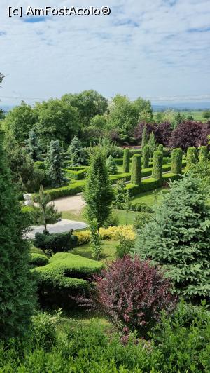 [P12] I Giardini di Zoe » foto by robert
 - 
<span class="allrVoted glyphicon glyphicon-heart hidden" id="av1239776"></span>
<a class="m-l-10 hidden" id="sv1239776" onclick="voting_Foto_DelVot(,1239776,26461)" role="button">șterge vot <span class="glyphicon glyphicon-remove"></span></a>
<a id="v91239776" class=" c-red"  onclick="voting_Foto_SetVot(1239776)" role="button"><span class="glyphicon glyphicon-heart-empty"></span> <b>LIKE</b> = Votează poza</a> <img class="hidden"  id="f1239776W9" src="/imagini/loader.gif" border="0" /><span class="AjErrMes hidden" id="e1239776ErM"></span>
