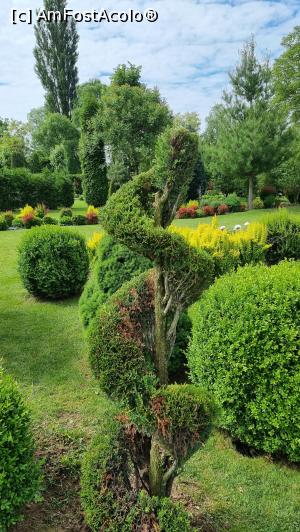[P23] I Giardini di Zoe » foto by robert
 - 
<span class="allrVoted glyphicon glyphicon-heart hidden" id="av1239787"></span>
<a class="m-l-10 hidden" id="sv1239787" onclick="voting_Foto_DelVot(,1239787,26461)" role="button">șterge vot <span class="glyphicon glyphicon-remove"></span></a>
<a id="v91239787" class=" c-red"  onclick="voting_Foto_SetVot(1239787)" role="button"><span class="glyphicon glyphicon-heart-empty"></span> <b>LIKE</b> = Votează poza</a> <img class="hidden"  id="f1239787W9" src="/imagini/loader.gif" border="0" /><span class="AjErrMes hidden" id="e1239787ErM"></span>