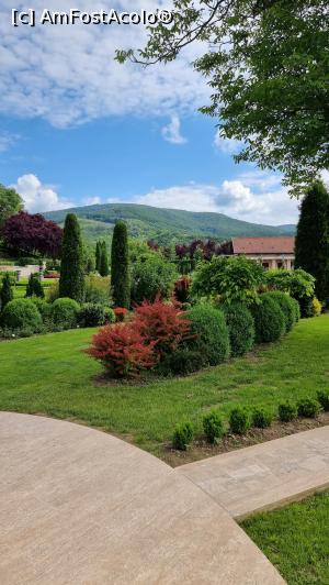 [P37] I Giardini di Zoe » foto by robert
 - 
<span class="allrVoted glyphicon glyphicon-heart hidden" id="av1239801"></span>
<a class="m-l-10 hidden" id="sv1239801" onclick="voting_Foto_DelVot(,1239801,26461)" role="button">șterge vot <span class="glyphicon glyphicon-remove"></span></a>
<a id="v91239801" class=" c-red"  onclick="voting_Foto_SetVot(1239801)" role="button"><span class="glyphicon glyphicon-heart-empty"></span> <b>LIKE</b> = Votează poza</a> <img class="hidden"  id="f1239801W9" src="/imagini/loader.gif" border="0" /><span class="AjErrMes hidden" id="e1239801ErM"></span>