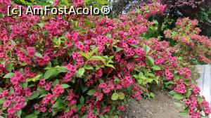 [P43] I Giardini di Zoe » foto by robert
 - 
<span class="allrVoted glyphicon glyphicon-heart hidden" id="av1239809"></span>
<a class="m-l-10 hidden" id="sv1239809" onclick="voting_Foto_DelVot(,1239809,26461)" role="button">șterge vot <span class="glyphicon glyphicon-remove"></span></a>
<a id="v91239809" class=" c-red"  onclick="voting_Foto_SetVot(1239809)" role="button"><span class="glyphicon glyphicon-heart-empty"></span> <b>LIKE</b> = Votează poza</a> <img class="hidden"  id="f1239809W9" src="/imagini/loader.gif" border="0" /><span class="AjErrMes hidden" id="e1239809ErM"></span>