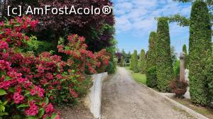 [P44] I Giardini di Zoe » foto by robert
 - 
<span class="allrVoted glyphicon glyphicon-heart hidden" id="av1239810"></span>
<a class="m-l-10 hidden" id="sv1239810" onclick="voting_Foto_DelVot(,1239810,26461)" role="button">șterge vot <span class="glyphicon glyphicon-remove"></span></a>
<a id="v91239810" class=" c-red"  onclick="voting_Foto_SetVot(1239810)" role="button"><span class="glyphicon glyphicon-heart-empty"></span> <b>LIKE</b> = Votează poza</a> <img class="hidden"  id="f1239810W9" src="/imagini/loader.gif" border="0" /><span class="AjErrMes hidden" id="e1239810ErM"></span>