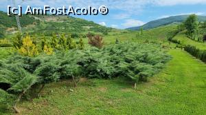 [P06] I Giardini di Zoe » foto by robert
 - 
<span class="allrVoted glyphicon glyphicon-heart hidden" id="av1239770"></span>
<a class="m-l-10 hidden" id="sv1239770" onclick="voting_Foto_DelVot(,1239770,26461)" role="button">șterge vot <span class="glyphicon glyphicon-remove"></span></a>
<a id="v91239770" class=" c-red"  onclick="voting_Foto_SetVot(1239770)" role="button"><span class="glyphicon glyphicon-heart-empty"></span> <b>LIKE</b> = Votează poza</a> <img class="hidden"  id="f1239770W9" src="/imagini/loader.gif" border="0" /><span class="AjErrMes hidden" id="e1239770ErM"></span>