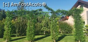 [P09] Cupole de gard viu. » foto by Aurici
 - 
<span class="allrVoted glyphicon glyphicon-heart hidden" id="av1178215"></span>
<a class="m-l-10 hidden" id="sv1178215" onclick="voting_Foto_DelVot(,1178215,26461)" role="button">șterge vot <span class="glyphicon glyphicon-remove"></span></a>
<a id="v91178215" class=" c-red"  onclick="voting_Foto_SetVot(1178215)" role="button"><span class="glyphicon glyphicon-heart-empty"></span> <b>LIKE</b> = Votează poza</a> <img class="hidden"  id="f1178215W9" src="/imagini/loader.gif" border="0" /><span class="AjErrMes hidden" id="e1178215ErM"></span>