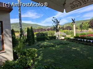 [P23] I Giardini di Zoe » foto by Carmen Ion
 - 
<span class="allrVoted glyphicon glyphicon-heart hidden" id="av1511730"></span>
<a class="m-l-10 hidden" id="sv1511730" onclick="voting_Foto_DelVot(,1511730,26461)" role="button">șterge vot <span class="glyphicon glyphicon-remove"></span></a>
<a id="v91511730" class=" c-red"  onclick="voting_Foto_SetVot(1511730)" role="button"><span class="glyphicon glyphicon-heart-empty"></span> <b>LIKE</b> = Votează poza</a> <img class="hidden"  id="f1511730W9" src="/imagini/loader.gif" border="0" /><span class="AjErrMes hidden" id="e1511730ErM"></span>