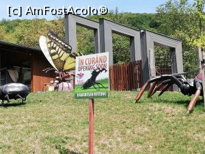 [P49] <strong>Mini Transilvania Park</strong> » foto by ⭐ValentinB_88⭐
 - 
<span class="allrVoted glyphicon glyphicon-heart hidden" id="av1319073"></span>
<a class="m-l-10 hidden" id="sv1319073" onclick="voting_Foto_DelVot(,1319073,26478)" role="button">șterge vot <span class="glyphicon glyphicon-remove"></span></a>
<a id="v91319073" class=" c-red"  onclick="voting_Foto_SetVot(1319073)" role="button"><span class="glyphicon glyphicon-heart-empty"></span> <b>LIKE</b> = Votează poza</a> <img class="hidden"  id="f1319073W9" src="/imagini/loader.gif" border="0" /><span class="AjErrMes hidden" id="e1319073ErM"></span>