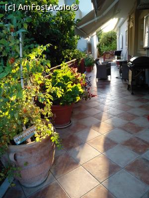 [P15] Se vede masuta la care stateam seara  cand pregateam programul pt a doua zi » foto by ilee
 - 
<span class="allrVoted glyphicon glyphicon-heart hidden" id="av1179914"></span>
<a class="m-l-10 hidden" id="sv1179914" onclick="voting_Foto_DelVot(,1179914,26479)" role="button">șterge vot <span class="glyphicon glyphicon-remove"></span></a>
<a id="v91179914" class=" c-red"  onclick="voting_Foto_SetVot(1179914)" role="button"><span class="glyphicon glyphicon-heart-empty"></span> <b>LIKE</b> = Votează poza</a> <img class="hidden"  id="f1179914W9" src="/imagini/loader.gif" border="0" /><span class="AjErrMes hidden" id="e1179914ErM"></span>