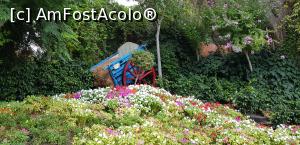 [P32] Parcul tematic MundoMar din Benidorm » foto by nicole33
 - 
<span class="allrVoted glyphicon glyphicon-heart hidden" id="av1185980"></span>
<a class="m-l-10 hidden" id="sv1185980" onclick="voting_Foto_DelVot(,1185980,26540)" role="button">șterge vot <span class="glyphicon glyphicon-remove"></span></a>
<a id="v91185980" class=" c-red"  onclick="voting_Foto_SetVot(1185980)" role="button"><span class="glyphicon glyphicon-heart-empty"></span> <b>LIKE</b> = Votează poza</a> <img class="hidden"  id="f1185980W9" src="/imagini/loader.gif" border="0" /><span class="AjErrMes hidden" id="e1185980ErM"></span>