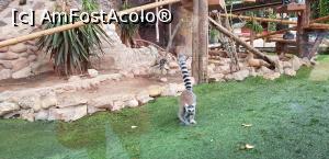 [P33] Parcul tematic MundoMar din Benidorm » foto by nicole33
 - 
<span class="allrVoted glyphicon glyphicon-heart hidden" id="av1185981"></span>
<a class="m-l-10 hidden" id="sv1185981" onclick="voting_Foto_DelVot(,1185981,26540)" role="button">șterge vot <span class="glyphicon glyphicon-remove"></span></a>
<a id="v91185981" class=" c-red"  onclick="voting_Foto_SetVot(1185981)" role="button"><span class="glyphicon glyphicon-heart-empty"></span> <b>LIKE</b> = Votează poza</a> <img class="hidden"  id="f1185981W9" src="/imagini/loader.gif" border="0" /><span class="AjErrMes hidden" id="e1185981ErM"></span>