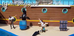 [P84] Parcul tematic MundoMar din Benidorm - spectacol cu leii de mare » foto by nicole33
 - 
<span class="allrVoted glyphicon glyphicon-heart hidden" id="av1186032"></span>
<a class="m-l-10 hidden" id="sv1186032" onclick="voting_Foto_DelVot(,1186032,26540)" role="button">șterge vot <span class="glyphicon glyphicon-remove"></span></a>
<a id="v91186032" class=" c-red"  onclick="voting_Foto_SetVot(1186032)" role="button"><span class="glyphicon glyphicon-heart-empty"></span> <b>LIKE</b> = Votează poza</a> <img class="hidden"  id="f1186032W9" src="/imagini/loader.gif" border="0" /><span class="AjErrMes hidden" id="e1186032ErM"></span>