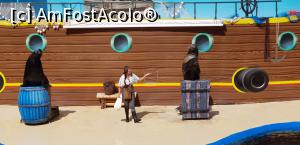 [P86] Parcul tematic MundoMar din Benidorm - spectacol cu leii de mare » foto by nicole33
 - 
<span class="allrVoted glyphicon glyphicon-heart hidden" id="av1186034"></span>
<a class="m-l-10 hidden" id="sv1186034" onclick="voting_Foto_DelVot(,1186034,26540)" role="button">șterge vot <span class="glyphicon glyphicon-remove"></span></a>
<a id="v91186034" class=" c-red"  onclick="voting_Foto_SetVot(1186034)" role="button"><span class="glyphicon glyphicon-heart-empty"></span> <b>LIKE</b> = Votează poza</a> <img class="hidden"  id="f1186034W9" src="/imagini/loader.gif" border="0" /><span class="AjErrMes hidden" id="e1186034ErM"></span>
