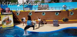 [P90] Parcul tematic MundoMar din Benidorm - spectacol cu leii de mare » foto by nicole33
 - 
<span class="allrVoted glyphicon glyphicon-heart hidden" id="av1186038"></span>
<a class="m-l-10 hidden" id="sv1186038" onclick="voting_Foto_DelVot(,1186038,26540)" role="button">șterge vot <span class="glyphicon glyphicon-remove"></span></a>
<a id="v91186038" class=" c-red"  onclick="voting_Foto_SetVot(1186038)" role="button"><span class="glyphicon glyphicon-heart-empty"></span> <b>LIKE</b> = Votează poza</a> <img class="hidden"  id="f1186038W9" src="/imagini/loader.gif" border="0" /><span class="AjErrMes hidden" id="e1186038ErM"></span>