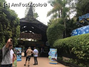 [P97] Parcul tematic MundoMar din Benidorm - intrarea în parc » foto by nicole33
 - 
<span class="allrVoted glyphicon glyphicon-heart hidden" id="av1186045"></span>
<a class="m-l-10 hidden" id="sv1186045" onclick="voting_Foto_DelVot(,1186045,26540)" role="button">șterge vot <span class="glyphicon glyphicon-remove"></span></a>
<a id="v91186045" class=" c-red"  onclick="voting_Foto_SetVot(1186045)" role="button"><span class="glyphicon glyphicon-heart-empty"></span> <b>LIKE</b> = Votează poza</a> <img class="hidden"  id="f1186045W9" src="/imagini/loader.gif" border="0" /><span class="AjErrMes hidden" id="e1186045ErM"></span>