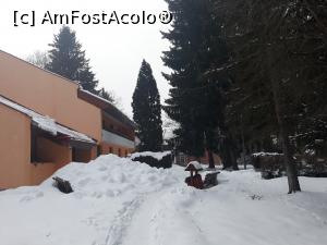 [P19] Complex cazare Izvoru Mureșului » foto by Mioritik
 - 
<span class="allrVoted glyphicon glyphicon-heart hidden" id="av1295372"></span>
<a class="m-l-10 hidden" id="sv1295372" onclick="voting_Foto_DelVot(,1295372,26554)" role="button">șterge vot <span class="glyphicon glyphicon-remove"></span></a>
<a id="v91295372" class=" c-red"  onclick="voting_Foto_SetVot(1295372)" role="button"><span class="glyphicon glyphicon-heart-empty"></span> <b>LIKE</b> = Votează poza</a> <img class="hidden"  id="f1295372W9" src="/imagini/loader.gif" border="0" /><span class="AjErrMes hidden" id="e1295372ErM"></span>