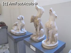 [P11] Muzeul Național de Atheologie Napoli. Niște lătrători antici, dar cu multă personalitate. » foto by mihaelavoicu
 - 
<span class="allrVoted glyphicon glyphicon-heart hidden" id="av1187197"></span>
<a class="m-l-10 hidden" id="sv1187197" onclick="voting_Foto_DelVot(,1187197,26555)" role="button">șterge vot <span class="glyphicon glyphicon-remove"></span></a>
<a id="v91187197" class=" c-red"  onclick="voting_Foto_SetVot(1187197)" role="button"><span class="glyphicon glyphicon-heart-empty"></span> <b>LIKE</b> = Votează poza</a> <img class="hidden"  id="f1187197W9" src="/imagini/loader.gif" border="0" /><span class="AjErrMes hidden" id="e1187197ErM"></span>