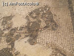 [P15] Muzeul Național de Arheologie, Napoli. Reprezentarea calului din mozaicul „Car de luptă” » foto by mihaelavoicu
 - 
<span class="allrVoted glyphicon glyphicon-heart hidden" id="av1188229"></span>
<a class="m-l-10 hidden" id="sv1188229" onclick="voting_Foto_DelVot(,1188229,26555)" role="button">șterge vot <span class="glyphicon glyphicon-remove"></span></a>
<a id="v91188229" class=" c-red"  onclick="voting_Foto_SetVot(1188229)" role="button"><span class="glyphicon glyphicon-heart-empty"></span> <b>LIKE</b> = Votează poza</a> <img class="hidden"  id="f1188229W9" src="/imagini/loader.gif" border="0" /><span class="AjErrMes hidden" id="e1188229ErM"></span>