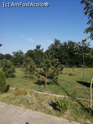 [P20] Villa Ciao, prin gradina.. » foto by MaraMura
 - 
<span class="allrVoted glyphicon glyphicon-heart hidden" id="av1247482"></span>
<a class="m-l-10 hidden" id="sv1247482" onclick="voting_Foto_DelVot(,1247482,26574)" role="button">șterge vot <span class="glyphicon glyphicon-remove"></span></a>
<a id="v91247482" class=" c-red"  onclick="voting_Foto_SetVot(1247482)" role="button"><span class="glyphicon glyphicon-heart-empty"></span> <b>LIKE</b> = Votează poza</a> <img class="hidden"  id="f1247482W9" src="/imagini/loader.gif" border="0" /><span class="AjErrMes hidden" id="e1247482ErM"></span>