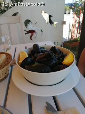 [P05] Scoici in sos de vin alb, la Cherhana Navodari » foto by MaraMura
 - 
<span class="allrVoted glyphicon glyphicon-heart hidden" id="av1247467"></span>
<a class="m-l-10 hidden" id="sv1247467" onclick="voting_Foto_DelVot(,1247467,26574)" role="button">șterge vot <span class="glyphicon glyphicon-remove"></span></a>
<a id="v91247467" class=" c-red"  onclick="voting_Foto_SetVot(1247467)" role="button"><span class="glyphicon glyphicon-heart-empty"></span> <b>LIKE</b> = Votează poza</a> <img class="hidden"  id="f1247467W9" src="/imagini/loader.gif" border="0" /><span class="AjErrMes hidden" id="e1247467ErM"></span>