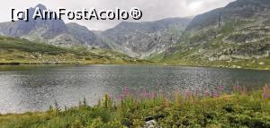 [P33] Lacul Gemenii. » foto by Aurici
 - 
<span class="allrVoted glyphicon glyphicon-heart hidden" id="av1191359"></span>
<a class="m-l-10 hidden" id="sv1191359" onclick="voting_Foto_DelVot(,1191359,26584)" role="button">șterge vot <span class="glyphicon glyphicon-remove"></span></a>
<a id="v91191359" class=" c-red"  onclick="voting_Foto_SetVot(1191359)" role="button"><span class="glyphicon glyphicon-heart-empty"></span> <b>LIKE</b> = Votează poza</a> <img class="hidden"  id="f1191359W9" src="/imagini/loader.gif" border="0" /><span class="AjErrMes hidden" id="e1191359ErM"></span>