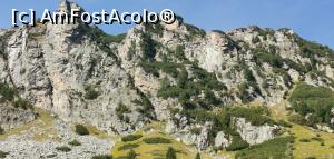 [P13] Stâncile din fața cabanei pe care am văzut alpiniști. » foto by Aurici
 - 
<span class="allrVoted glyphicon glyphicon-heart hidden" id="av1212572"></span>
<a class="m-l-10 hidden" id="sv1212572" onclick="voting_Foto_DelVot(,1212572,26584)" role="button">șterge vot <span class="glyphicon glyphicon-remove"></span></a>
<a id="v91212572" class=" c-red"  onclick="voting_Foto_SetVot(1212572)" role="button"><span class="glyphicon glyphicon-heart-empty"></span> <b>LIKE</b> = Votează poza</a> <img class="hidden"  id="f1212572W9" src="/imagini/loader.gif" border="0" /><span class="AjErrMes hidden" id="e1212572ErM"></span>