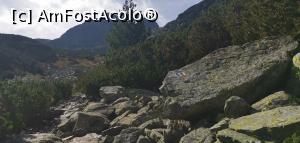 [P15] De la cabană spre Lacul Elenino, poteca se pietruiește tare de tot. » foto by Aurici
 - 
<span class="allrVoted glyphicon glyphicon-heart hidden" id="av1212574"></span>
<a class="m-l-10 hidden" id="sv1212574" onclick="voting_Foto_DelVot(,1212574,26584)" role="button">șterge vot <span class="glyphicon glyphicon-remove"></span></a>
<a id="v91212574" class=" c-red"  onclick="voting_Foto_SetVot(1212574)" role="button"><span class="glyphicon glyphicon-heart-empty"></span> <b>LIKE</b> = Votează poza</a> <img class="hidden"  id="f1212574W9" src="/imagini/loader.gif" border="0" /><span class="AjErrMes hidden" id="e1212574ErM"></span>