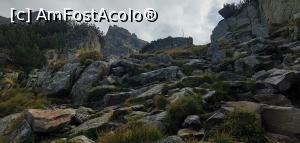 [P27] Poteca de piatră devine din ce în ce mai solicitantă pentru genunchi. » foto by Aurici
 - 
<span class="allrVoted glyphicon glyphicon-heart hidden" id="av1212586"></span>
<a class="m-l-10 hidden" id="sv1212586" onclick="voting_Foto_DelVot(,1212586,26584)" role="button">șterge vot <span class="glyphicon glyphicon-remove"></span></a>
<a id="v91212586" class=" c-red"  onclick="voting_Foto_SetVot(1212586)" role="button"><span class="glyphicon glyphicon-heart-empty"></span> <b>LIKE</b> = Votează poza</a> <img class="hidden"  id="f1212586W9" src="/imagini/loader.gif" border="0" /><span class="AjErrMes hidden" id="e1212586ErM"></span>