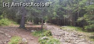 [P06] Poteca, așa cum se vede, cam pietroasă. » foto by Aurici
 - 
<span class="allrVoted glyphicon glyphicon-heart hidden" id="av1212565"></span>
<a class="m-l-10 hidden" id="sv1212565" onclick="voting_Foto_DelVot(,1212565,26584)" role="button">șterge vot <span class="glyphicon glyphicon-remove"></span></a>
<a id="v91212565" class=" c-red"  onclick="voting_Foto_SetVot(1212565)" role="button"><span class="glyphicon glyphicon-heart-empty"></span> <b>LIKE</b> = Votează poza</a> <img class="hidden"  id="f1212565W9" src="/imagini/loader.gif" border="0" /><span class="AjErrMes hidden" id="e1212565ErM"></span>
