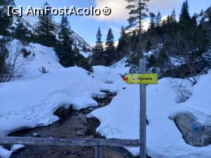 [P01] Spre Varful Musala, prima parte a drumului, până in golul alpin » foto by Mika
 - 
<span class="allrVoted glyphicon glyphicon-heart hidden" id="av1290071"></span>
<a class="m-l-10 hidden" id="sv1290071" onclick="voting_Foto_DelVot(,1290071,26584)" role="button">șterge vot <span class="glyphicon glyphicon-remove"></span></a>
<a id="v91290071" class=" c-red"  onclick="voting_Foto_SetVot(1290071)" role="button"><span class="glyphicon glyphicon-heart-empty"></span> <b>LIKE</b> = Votează poza</a> <img class="hidden"  id="f1290071W9" src="/imagini/loader.gif" border="0" /><span class="AjErrMes hidden" id="e1290071ErM"></span>