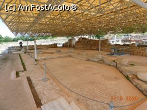 [P17] Zona Octagonului-mozaic » foto by irinad
 - 
<span class="allrVoted glyphicon glyphicon-heart hidden" id="av1194892"></span>
<a class="m-l-10 hidden" id="sv1194892" onclick="voting_Foto_DelVot(,1194892,26607)" role="button">șterge vot <span class="glyphicon glyphicon-remove"></span></a>
<a id="v91194892" class=" c-red"  onclick="voting_Foto_SetVot(1194892)" role="button"><span class="glyphicon glyphicon-heart-empty"></span> <b>LIKE</b> = Votează poza</a> <img class="hidden"  id="f1194892W9" src="/imagini/loader.gif" border="0" /><span class="AjErrMes hidden" id="e1194892ErM"></span>