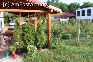 [P34] Pensiunea La Casa Boierului, Cătunele, Gorj, Terasa înconjurată de verdeață dar și de legume, se vede în spate gospodăria proprietarului cu toate cele necesare » foto by mprofeanu
 - 
<span class="allrVoted glyphicon glyphicon-heart hidden" id="av1195499"></span>
<a class="m-l-10 hidden" id="sv1195499" onclick="voting_Foto_DelVot(,1195499,26610)" role="button">șterge vot <span class="glyphicon glyphicon-remove"></span></a>
<a id="v91195499" class=" c-red"  onclick="voting_Foto_SetVot(1195499)" role="button"><span class="glyphicon glyphicon-heart-empty"></span> <b>LIKE</b> = Votează poza</a> <img class="hidden"  id="f1195499W9" src="/imagini/loader.gif" border="0" /><span class="AjErrMes hidden" id="e1195499ErM"></span>