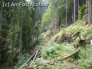 [P27] Am ajuns aproape! Parcă a început să se audă vuietul surd al apei!  » foto by Floryn81
 - 
<span class="allrVoted glyphicon glyphicon-heart hidden" id="av884661"></span>
<a class="m-l-10 hidden" id="sv884661" onclick="voting_Foto_DelVot(,884661,26611)" role="button">șterge vot <span class="glyphicon glyphicon-remove"></span></a>
<a id="v9884661" class=" c-red"  onclick="voting_Foto_SetVot(884661)" role="button"><span class="glyphicon glyphicon-heart-empty"></span> <b>LIKE</b> = Votează poza</a> <img class="hidden"  id="f884661W9" src="/imagini/loader.gif" border="0" /><span class="AjErrMes hidden" id="e884661ErM"></span>
