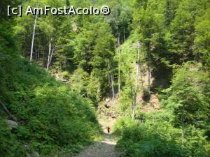 [P35] Cel mic a fost încântat de cascada vizitată.  » foto by Floryn81
 - 
<span class="allrVoted glyphicon glyphicon-heart hidden" id="av884672"></span>
<a class="m-l-10 hidden" id="sv884672" onclick="voting_Foto_DelVot(,884672,26611)" role="button">șterge vot <span class="glyphicon glyphicon-remove"></span></a>
<a id="v9884672" class=" c-red"  onclick="voting_Foto_SetVot(884672)" role="button"><span class="glyphicon glyphicon-heart-empty"></span> <b>LIKE</b> = Votează poza</a> <img class="hidden"  id="f884672W9" src="/imagini/loader.gif" border="0" /><span class="AjErrMes hidden" id="e884672ErM"></span>