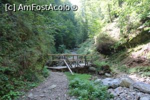 [P10] Poteca turistică spre Cascada Scoruș, Mălaia, al treilea Podeț peste Râul Budureasa Mare » foto by mprofeanu
 - 
<span class="allrVoted glyphicon glyphicon-heart hidden" id="av1392494"></span>
<a class="m-l-10 hidden" id="sv1392494" onclick="voting_Foto_DelVot(,1392494,26611)" role="button">șterge vot <span class="glyphicon glyphicon-remove"></span></a>
<a id="v91392494" class=" c-red"  onclick="voting_Foto_SetVot(1392494)" role="button"><span class="glyphicon glyphicon-heart-empty"></span> <b>LIKE</b> = Votează poza</a> <img class="hidden"  id="f1392494W9" src="/imagini/loader.gif" border="0" /><span class="AjErrMes hidden" id="e1392494ErM"></span>