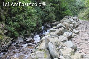 [P11] Poteca turistică spre Cascada Scoruș, Mălaia, Urcăm spre Cascadă...și iar un mic dig de protecție.... » foto by mprofeanu
 - 
<span class="allrVoted glyphicon glyphicon-heart hidden" id="av1392495"></span>
<a class="m-l-10 hidden" id="sv1392495" onclick="voting_Foto_DelVot(,1392495,26611)" role="button">șterge vot <span class="glyphicon glyphicon-remove"></span></a>
<a id="v91392495" class=" c-red"  onclick="voting_Foto_SetVot(1392495)" role="button"><span class="glyphicon glyphicon-heart-empty"></span> <b>LIKE</b> = Votează poza</a> <img class="hidden"  id="f1392495W9" src="/imagini/loader.gif" border="0" /><span class="AjErrMes hidden" id="e1392495ErM"></span>