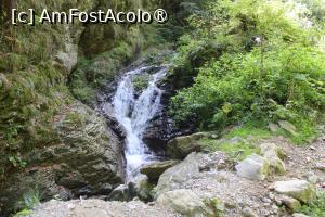 [P12] Poteca turistică spre Cascada Scoruș, Mălaia, O cascadă mai mică pe Râul Budureasa Mare » foto by mprofeanu
 - 
<span class="allrVoted glyphicon glyphicon-heart hidden" id="av1392496"></span>
<a class="m-l-10 hidden" id="sv1392496" onclick="voting_Foto_DelVot(,1392496,26611)" role="button">șterge vot <span class="glyphicon glyphicon-remove"></span></a>
<a id="v91392496" class=" c-red"  onclick="voting_Foto_SetVot(1392496)" role="button"><span class="glyphicon glyphicon-heart-empty"></span> <b>LIKE</b> = Votează poza</a> <img class="hidden"  id="f1392496W9" src="/imagini/loader.gif" border="0" /><span class="AjErrMes hidden" id="e1392496ErM"></span>