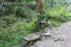 [P13] Poteca turistică spre Cascada Scoruș, Mălaia, Loc de odihnă lângă Marcajul Punct roșu dar și un frumos aranjament pe trunchiul de copac.... » foto by mprofeanu
 - 
<span class="allrVoted glyphicon glyphicon-heart hidden" id="av1392497"></span>
<a class="m-l-10 hidden" id="sv1392497" onclick="voting_Foto_DelVot(,1392497,26611)" role="button">șterge vot <span class="glyphicon glyphicon-remove"></span></a>
<a id="v91392497" class=" c-red"  onclick="voting_Foto_SetVot(1392497)" role="button"><span class="glyphicon glyphicon-heart-empty"></span> <b>LIKE</b> = Votează poza</a> <img class="hidden"  id="f1392497W9" src="/imagini/loader.gif" border="0" /><span class="AjErrMes hidden" id="e1392497ErM"></span>