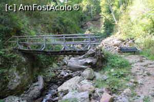 [P15] Poteca turistică spre Cascada Scoruș, Mălaia, al patrulea Podeț peste Râul Budureasa Mare, de aici poteca merge pe partea stângă a râului » foto by mprofeanu
 - 
<span class="allrVoted glyphicon glyphicon-heart hidden" id="av1392499"></span>
<a class="m-l-10 hidden" id="sv1392499" onclick="voting_Foto_DelVot(,1392499,26611)" role="button">șterge vot <span class="glyphicon glyphicon-remove"></span></a>
<a id="v91392499" class=" c-red"  onclick="voting_Foto_SetVot(1392499)" role="button"><span class="glyphicon glyphicon-heart-empty"></span> <b>LIKE</b> = Votează poza</a> <img class="hidden"  id="f1392499W9" src="/imagini/loader.gif" border="0" /><span class="AjErrMes hidden" id="e1392499ErM"></span>