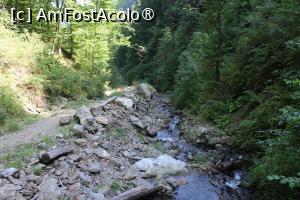 [P17] Poteca turistică spre Cascada Scoruș, Mălaia, pozată de sus de pe al patrulea podeț.. » foto by mprofeanu
 - 
<span class="allrVoted glyphicon glyphicon-heart hidden" id="av1392501"></span>
<a class="m-l-10 hidden" id="sv1392501" onclick="voting_Foto_DelVot(,1392501,26611)" role="button">șterge vot <span class="glyphicon glyphicon-remove"></span></a>
<a id="v91392501" class=" c-red"  onclick="voting_Foto_SetVot(1392501)" role="button"><span class="glyphicon glyphicon-heart-empty"></span> <b>LIKE</b> = Votează poza</a> <img class="hidden"  id="f1392501W9" src="/imagini/loader.gif" border="0" /><span class="AjErrMes hidden" id="e1392501ErM"></span>