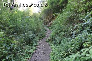 [P21] Poteca turistică spre Cascada Scoruș, Mălaia  este marcată cu Punct roșu, poteca este mai îngustă... » foto by mprofeanu
 - 
<span class="allrVoted glyphicon glyphicon-heart hidden" id="av1392505"></span>
<a class="m-l-10 hidden" id="sv1392505" onclick="voting_Foto_DelVot(,1392505,26611)" role="button">șterge vot <span class="glyphicon glyphicon-remove"></span></a>
<a id="v91392505" class=" c-red"  onclick="voting_Foto_SetVot(1392505)" role="button"><span class="glyphicon glyphicon-heart-empty"></span> <b>LIKE</b> = Votează poza</a> <img class="hidden"  id="f1392505W9" src="/imagini/loader.gif" border="0" /><span class="AjErrMes hidden" id="e1392505ErM"></span>