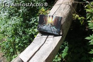 [P23] Poteca turistică spre Cascada Scoruș, Mălaia, Loc de odihnă cu mesaje pentru turiști... mi-a plăcut... » foto by mprofeanu
 - 
<span class="allrVoted glyphicon glyphicon-heart hidden" id="av1392507"></span>
<a class="m-l-10 hidden" id="sv1392507" onclick="voting_Foto_DelVot(,1392507,26611)" role="button">șterge vot <span class="glyphicon glyphicon-remove"></span></a>
<a id="v91392507" class=" c-red"  onclick="voting_Foto_SetVot(1392507)" role="button"><span class="glyphicon glyphicon-heart-empty"></span> <b>LIKE</b> = Votează poza</a> <img class="hidden"  id="f1392507W9" src="/imagini/loader.gif" border="0" /><span class="AjErrMes hidden" id="e1392507ErM"></span>